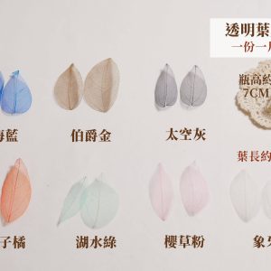 色一_透明葉脈
