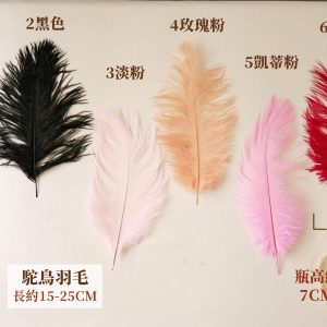 色一_駝鳥羽毛