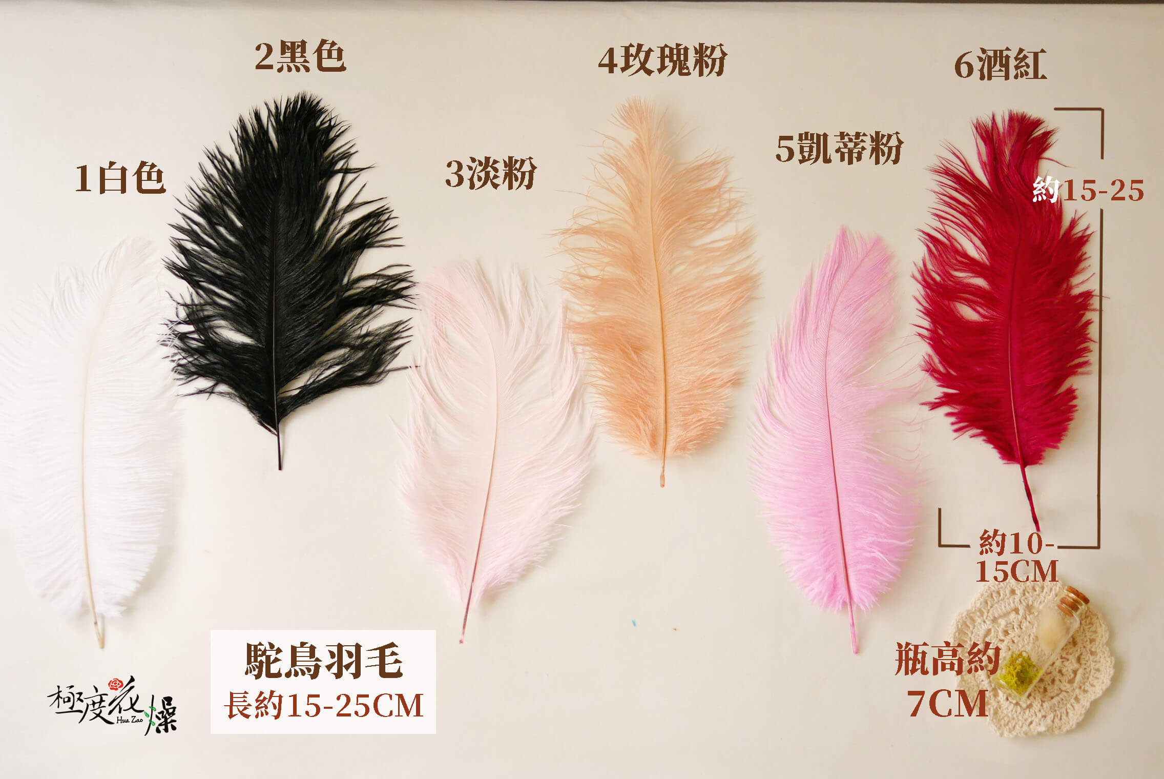 色一_駝鳥羽毛