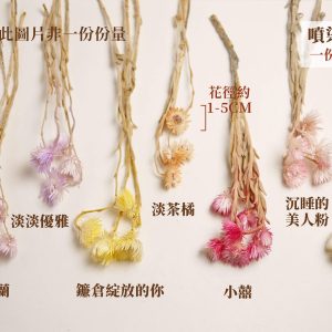 色一wfdw_旱雪蓮 拷貝