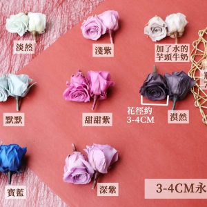 色三 _03480永生玫瑰