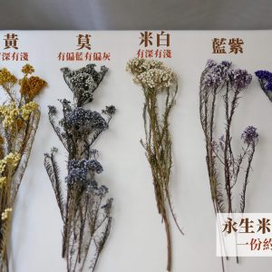 色三 _永生米香花