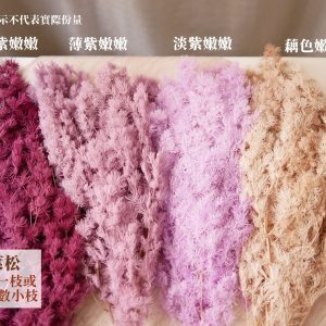 色三 _永生蓬萊松