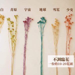 色三 _臨花