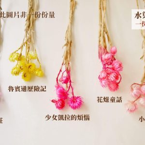色三_旱雪蓮
