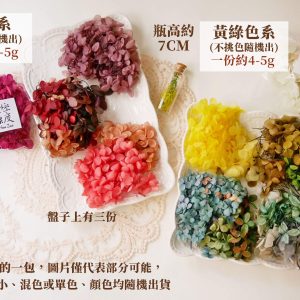 色三_綜合繡球 拷貝