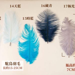 色三_駝鳥羽毛