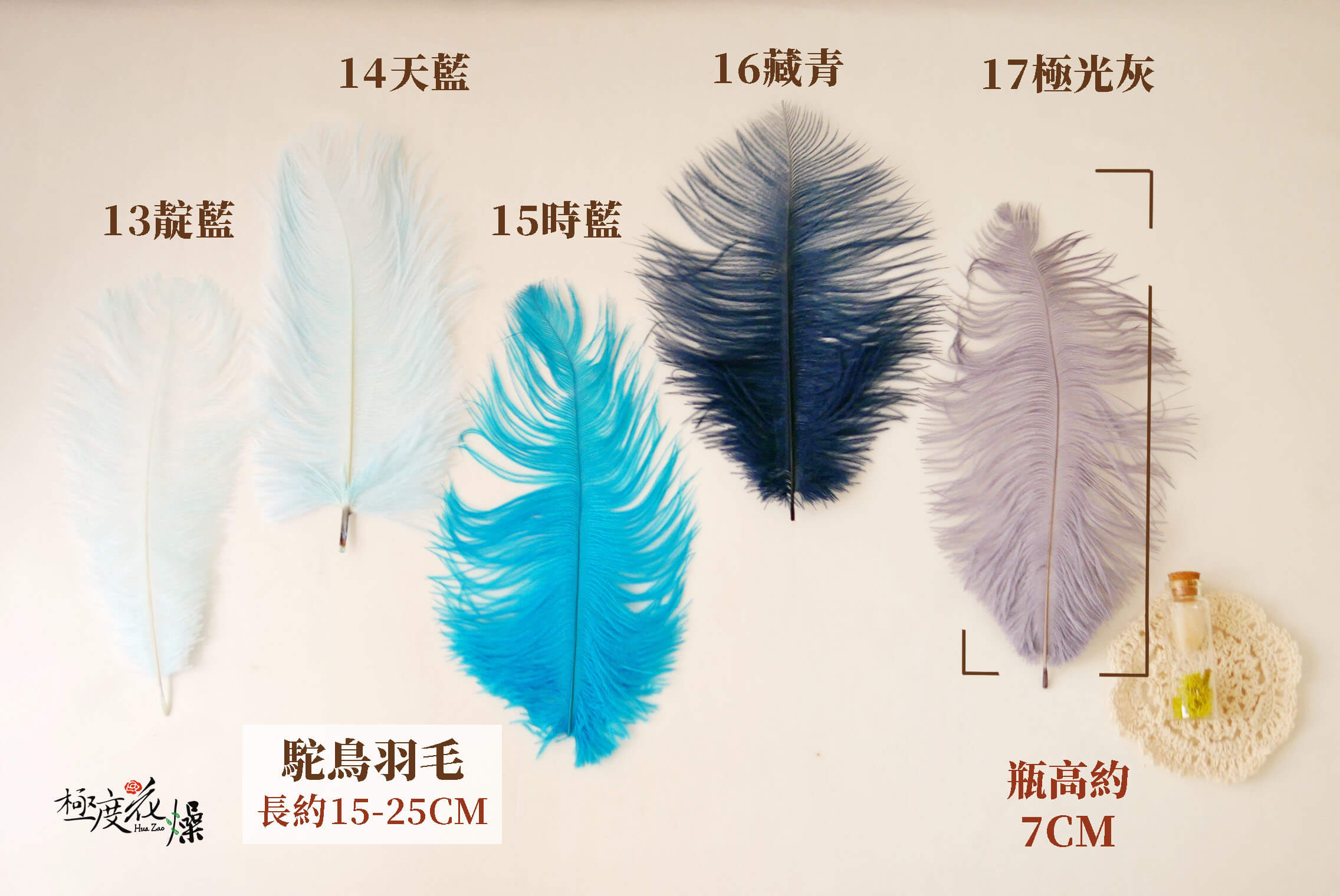 色三_駝鳥羽毛
