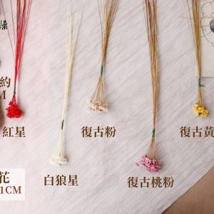 色二_小星花