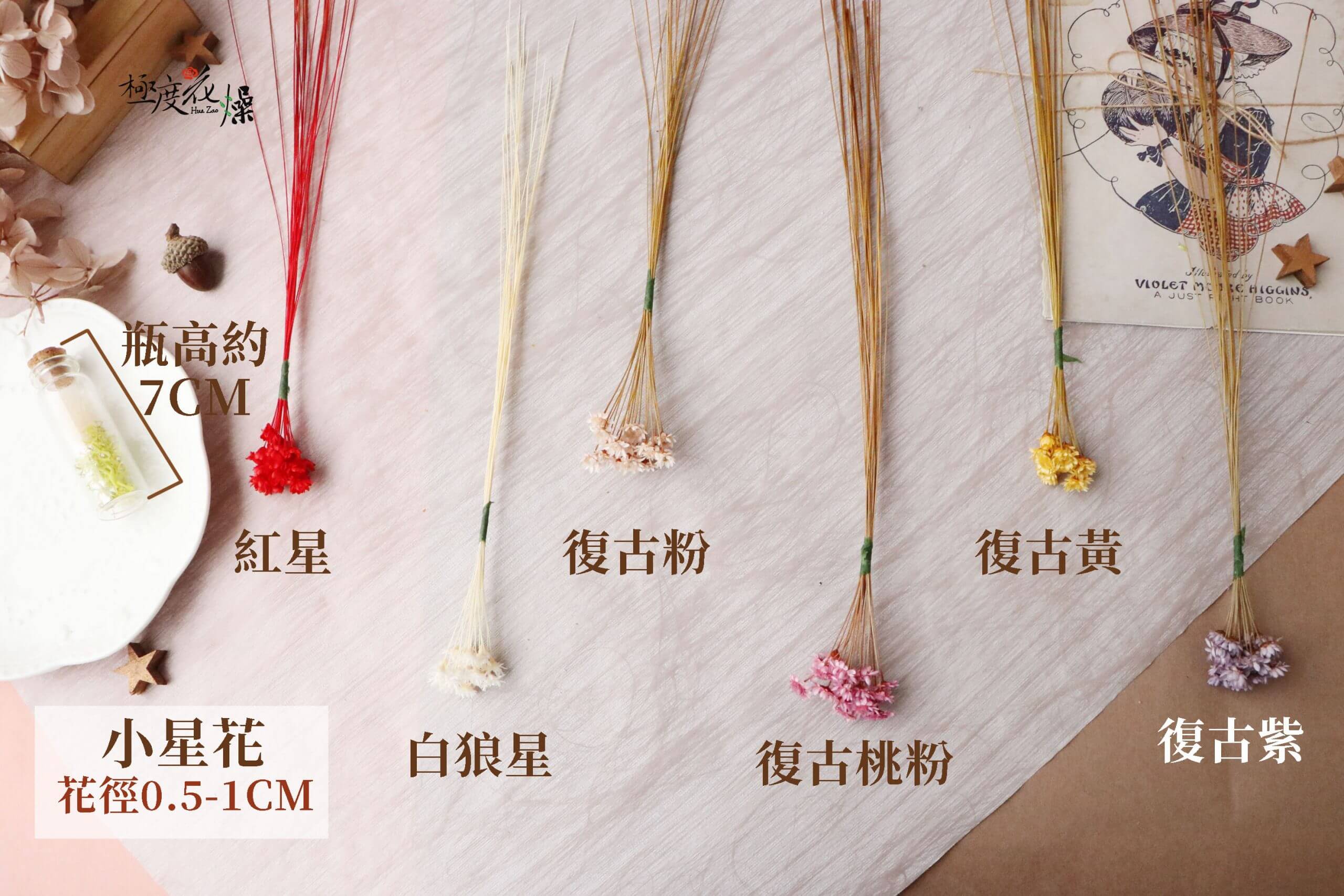 色二_小星花