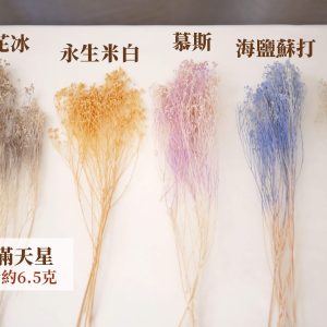 色二_木滿天星