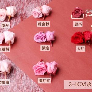 色二 _03480永生玫瑰