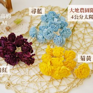 色二 _4太陽玫瑰