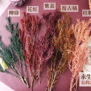 色二 _永生茶樹葉
