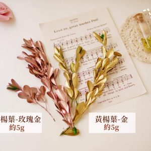 色二 _永生黃楊葉