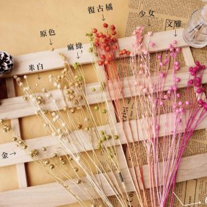 色二_臨花