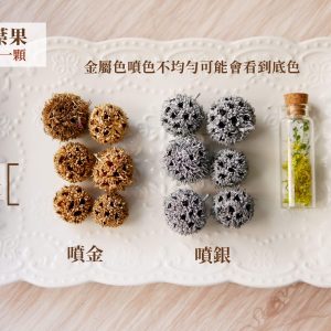 色二_楓葉果 拷貝c2te