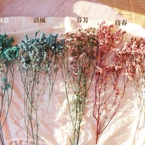 色二_永生水晶花