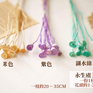 色二_永生虞美人 拷貝