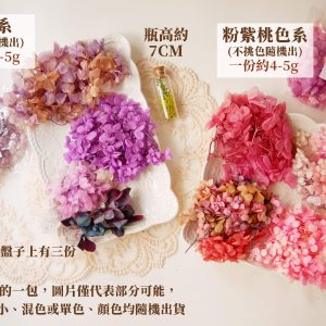 色二_綜合繡球 拷貝