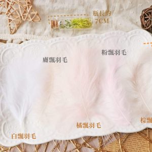 色二_羽毛