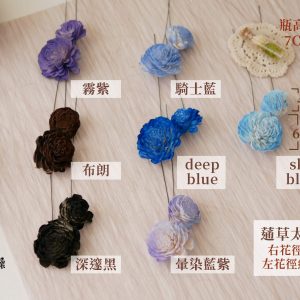 色二_花燥太陽玫瑰 拷貝