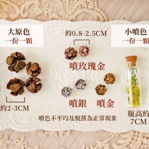 色二_足球果 拷貝