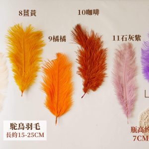 色二_駝鳥羽毛
