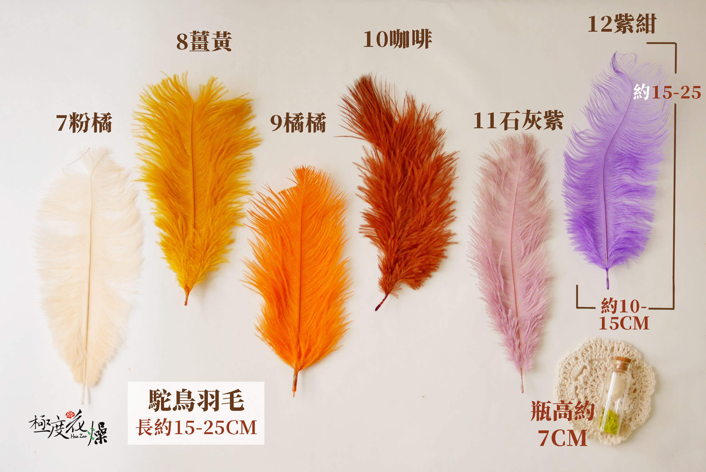 色二_駝鳥羽毛
