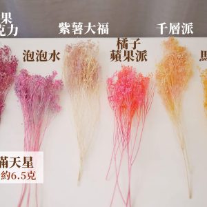 色四_木滿天星
