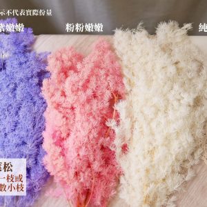 色四 _永生蓬萊松