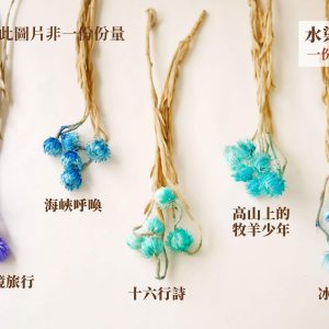 色四_旱雪蓮