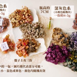 色四_綜合繡球 拷貝