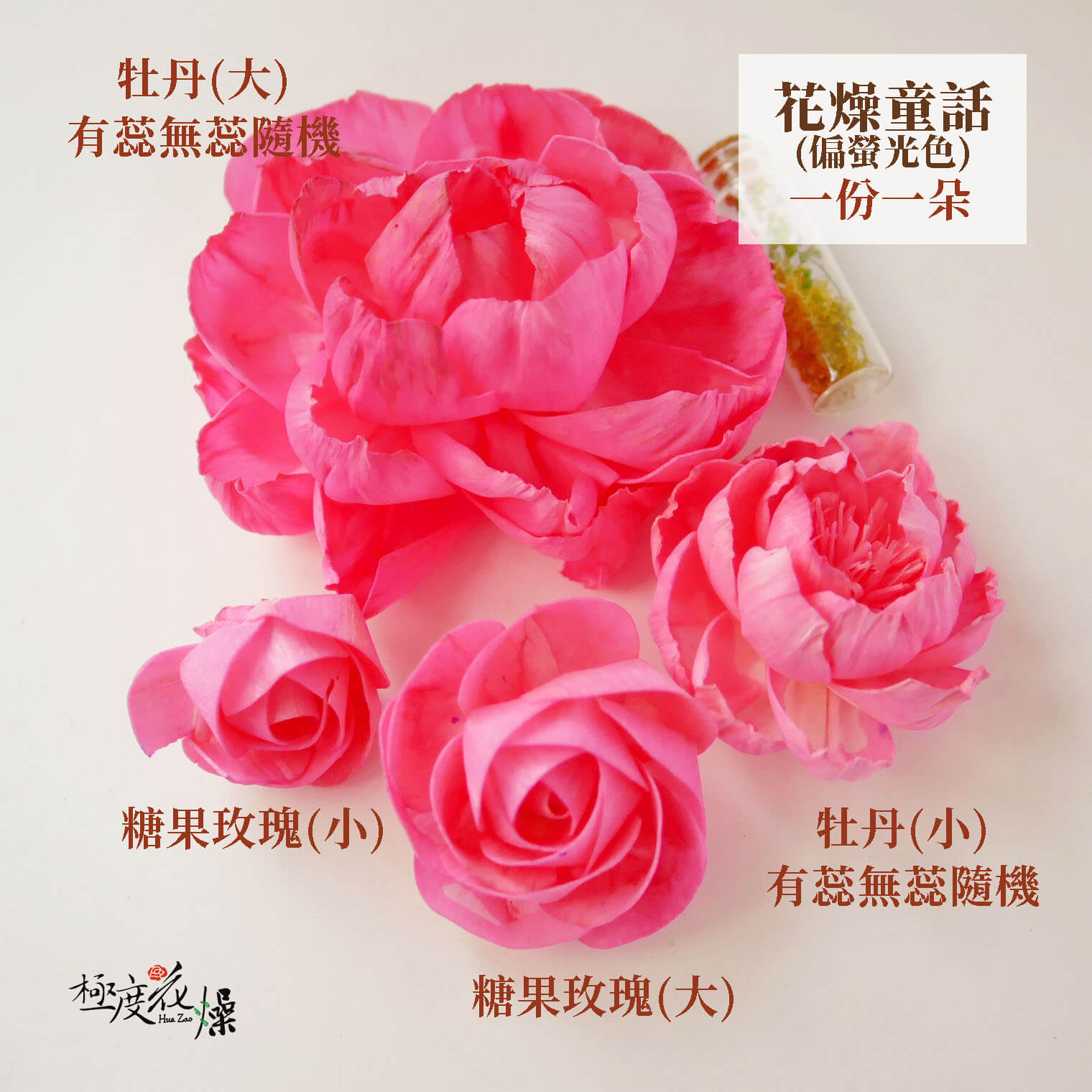 花燥童話_水染蓪草花 拷貝