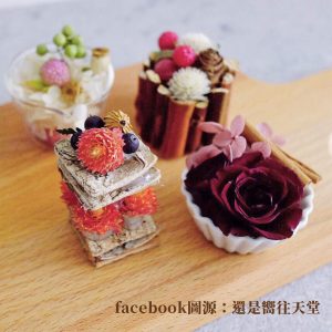 花藝品_樺木樹皮