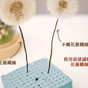 花藝膠帶 _永生蒲公英