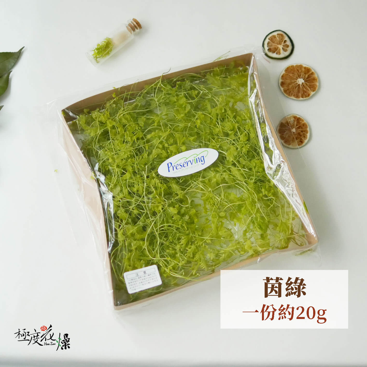 茵綠 _整包海金沙
