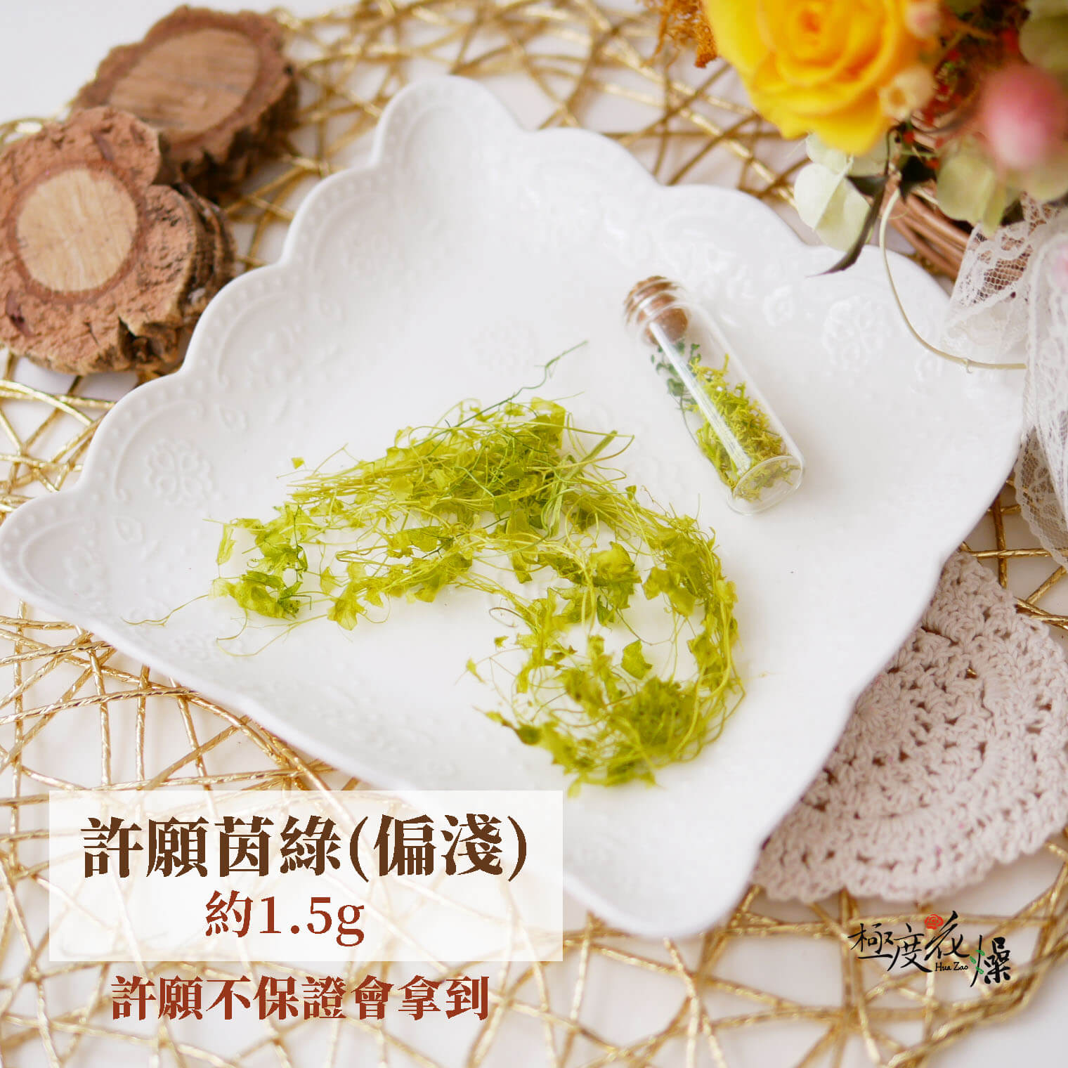 茵綠 _海金沙