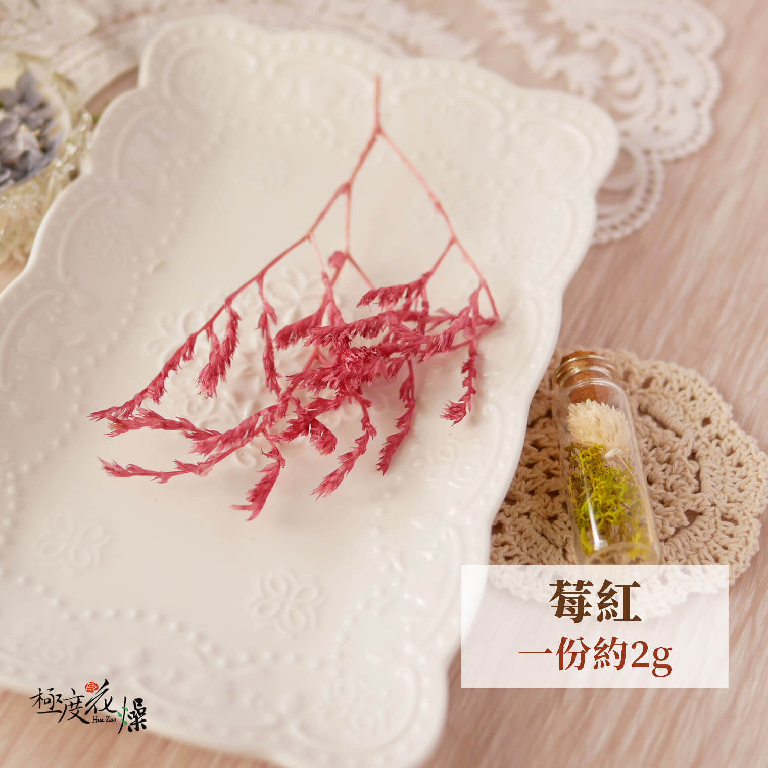 莓紅_大地雪花 拷貝