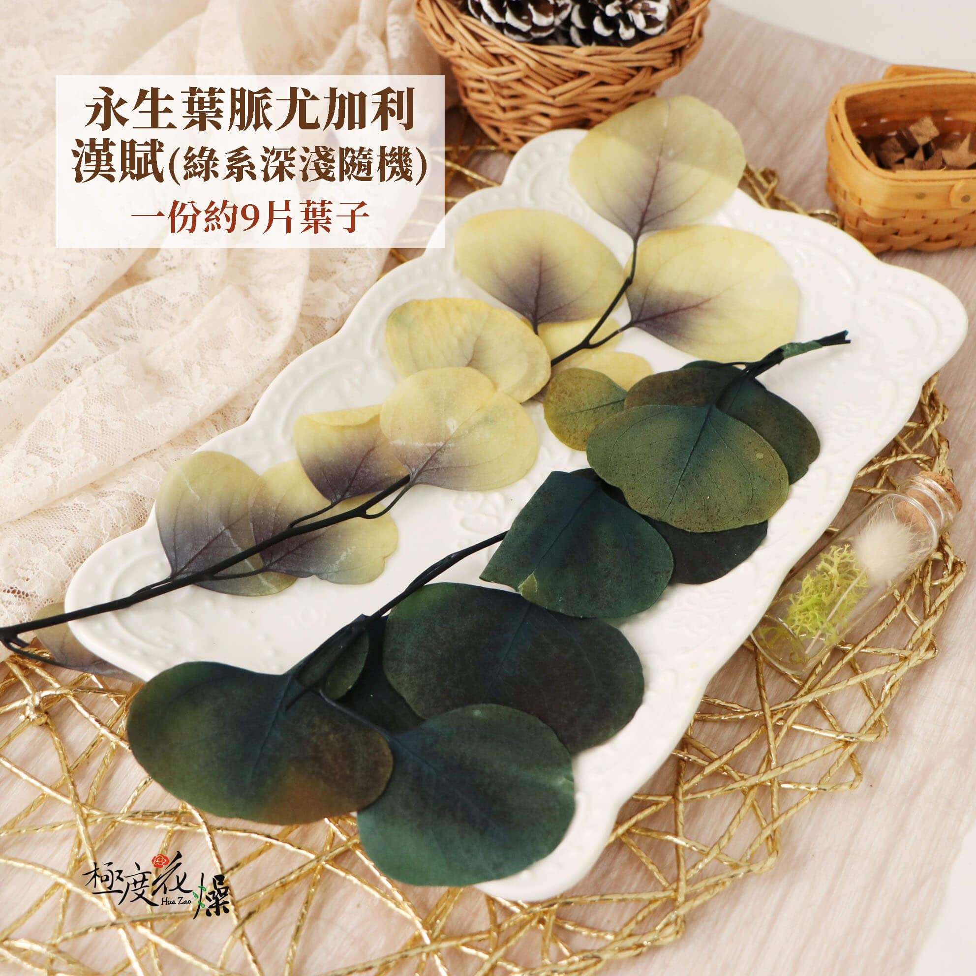 葉脈綠 _永生葉脈尤加利