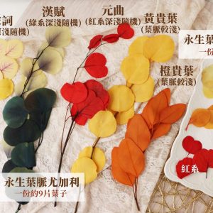 葉脈規格 _永生葉脈尤加利