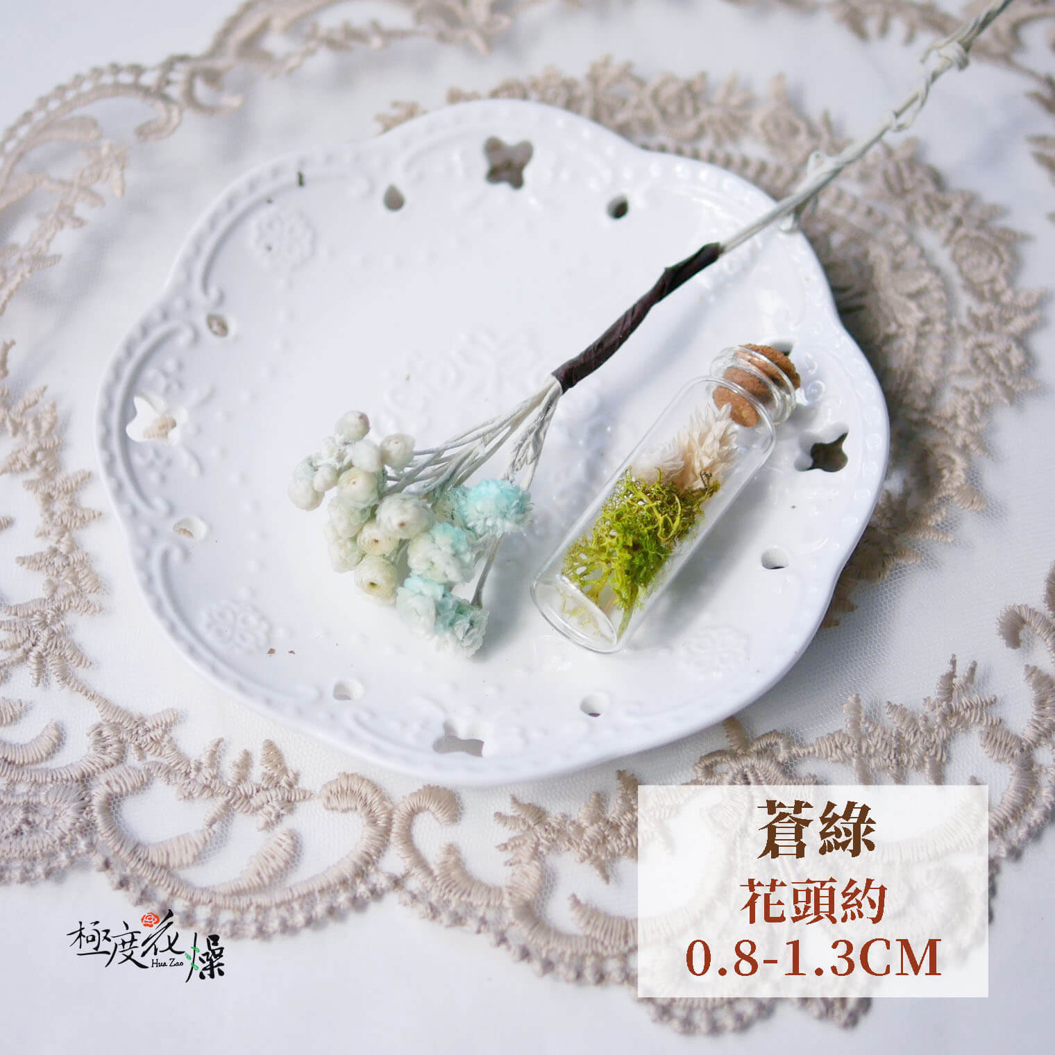 蒼綠_蠟菊 拷貝