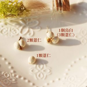 薏仁說明_烏臼 拷貝