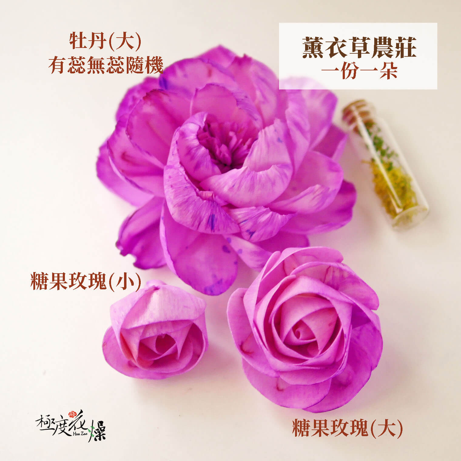 薰衣草農莊_水染蓪草花