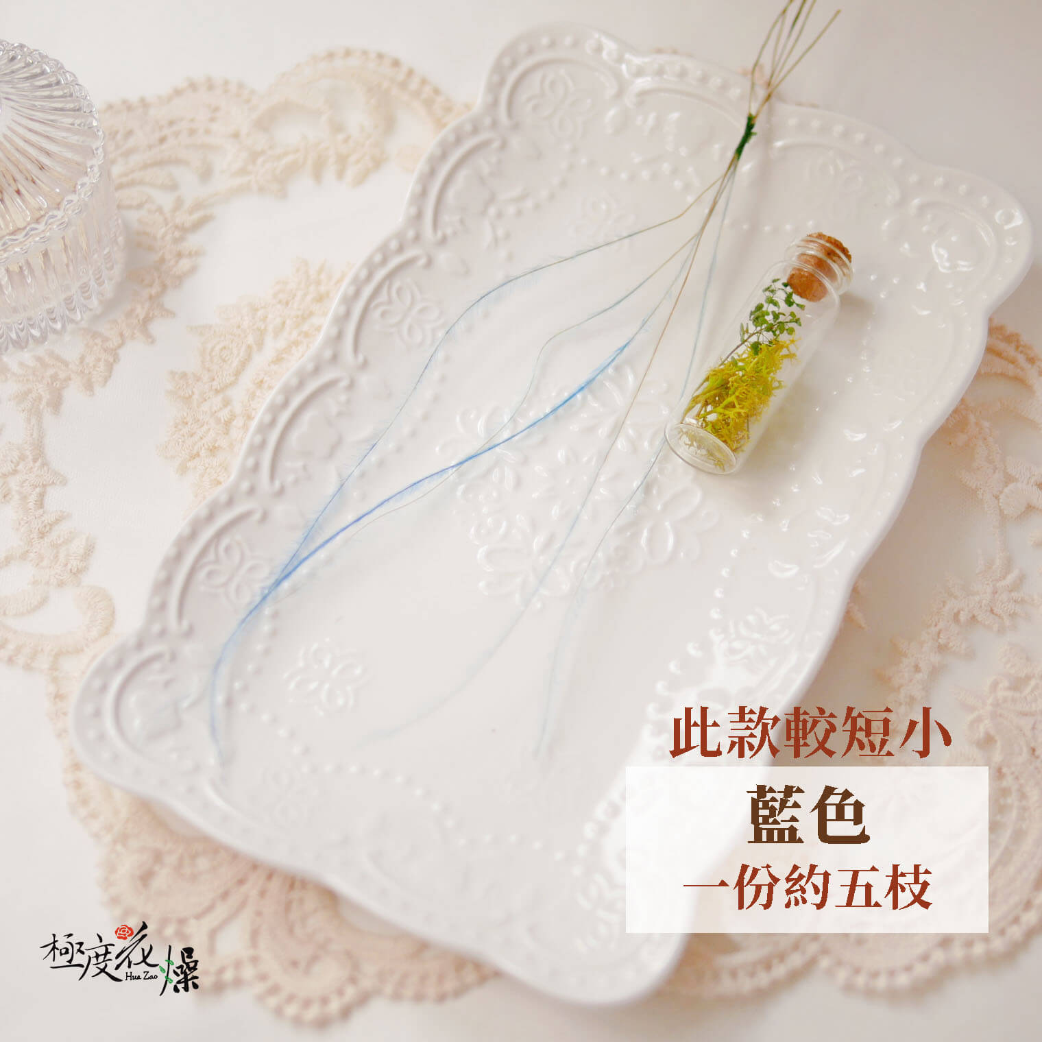藍色_羽毛草 拷貝_21