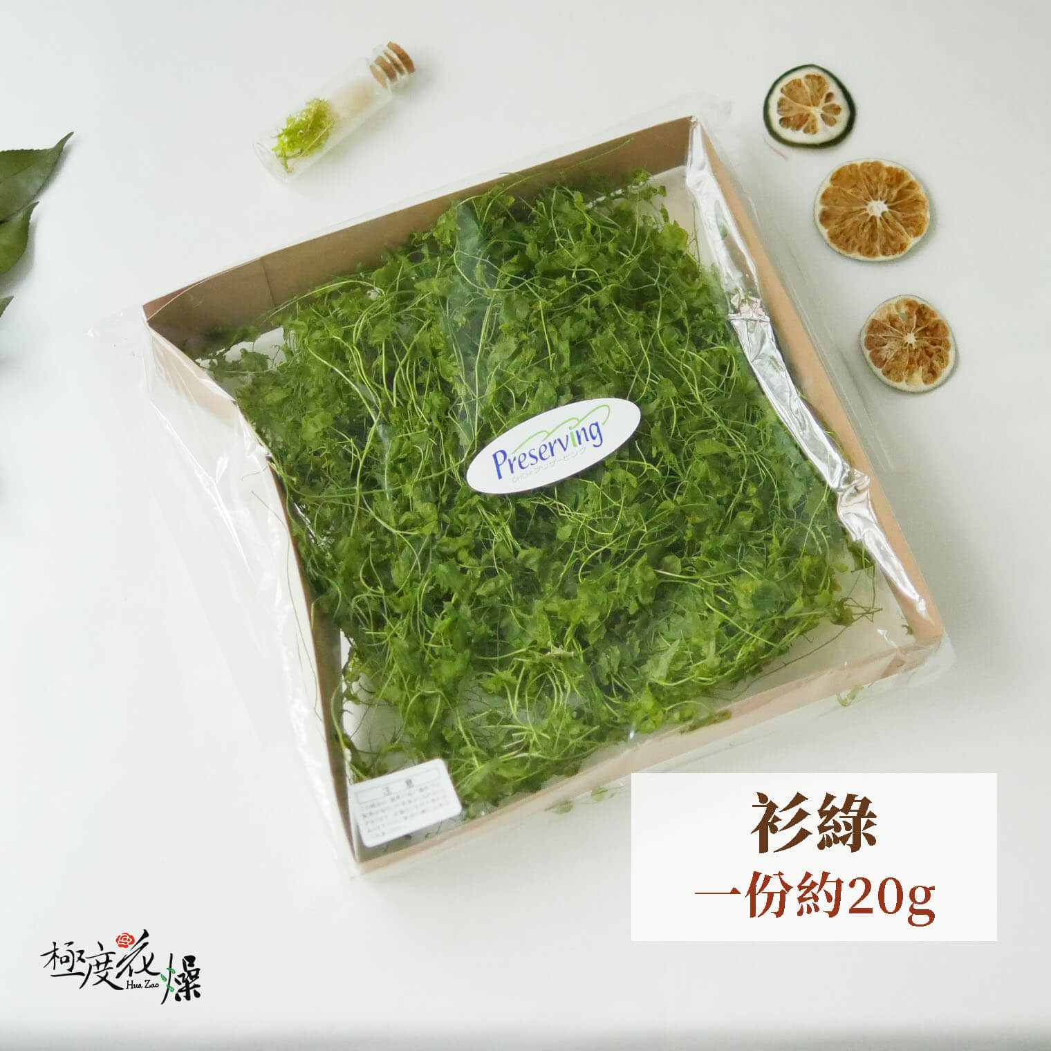 衫綠 _整包海金沙
