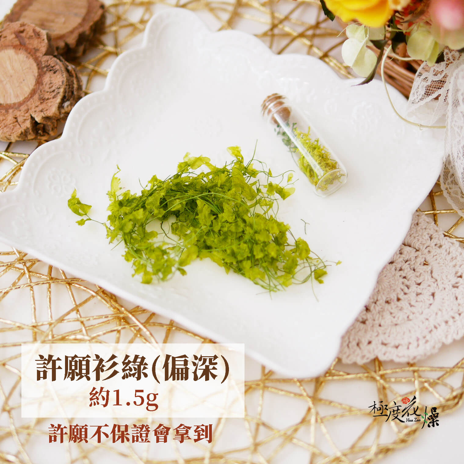 衫綠 _海金沙