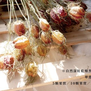 規格_黑種草