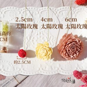 規格 2_2.5太陽玫瑰