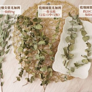 規格 _乾燥圓葉尤加利